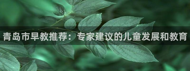 恒行2蒋74OOO5：青岛市早教推荐：专家建议的儿童发展和教育