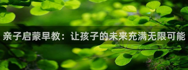 恒行代理总代主导 6ll5l：亲子启蒙早教：让孩子的未来充满无限可能