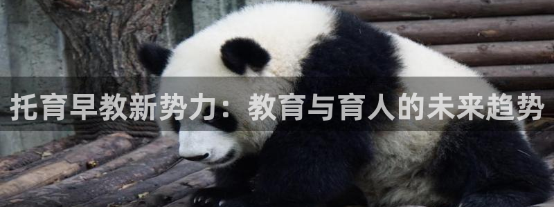 恒在5行中代表什么数字：托育早教新势力：教育与育人的未来趋势