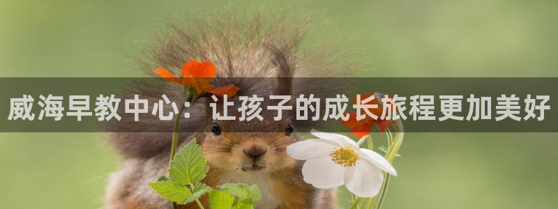 恒行代理总代主导 6ll5l：威海早教中心：让孩子的成长旅程更加美好