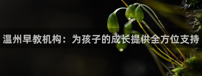恒行2乃5O6917：温州早教机构：为孩子的成长提供全方位支持