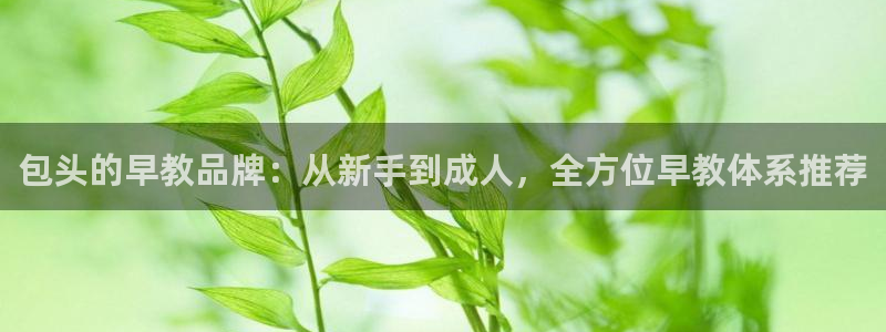 恒行2沈74OOO5：包头的早教品牌：从新手到成人，全方位早教体系推荐