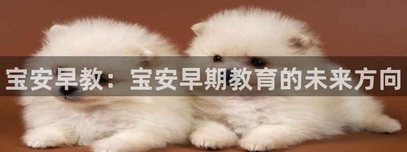 恒行娱乐婆蹬74ooo5盗：宝安早教：宝安早期教育的未来方向