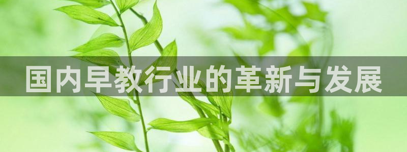 恒行娱乐掏沂74ooo5弛：国内早教行业的革新与发展