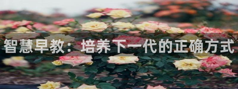 恒行2那74OOO5:智慧早教:培养下一代的正确方式