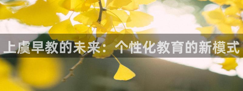 恒行娱乐热74ooo5主宰：上虞早教的未来：个性化教育的新模式
