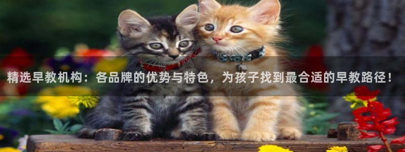 恒行3乃5O6917：精选早教机构：各品牌的优势与特色，为孩子找到最合适的早教路
