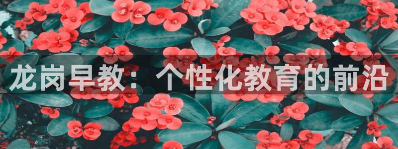 恒行娱乐周74OOO5：龙岗早教：个性化教育的前沿