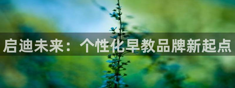 恒行娱乐陈74OOO5：启迪未来：个性化早教品牌新起点