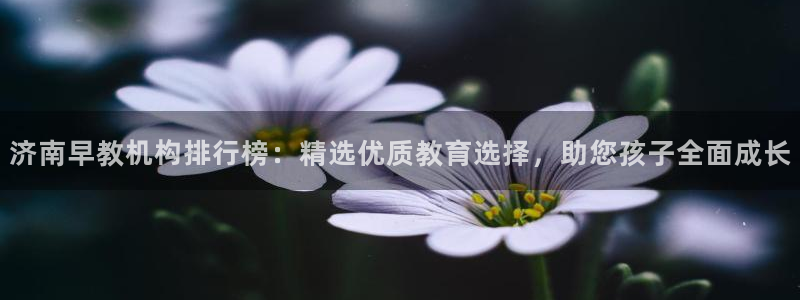 恒行娱乐婆蹬74ooo5盗：济南早教机构排行榜：精选优质教育选择，助您孩子全面成