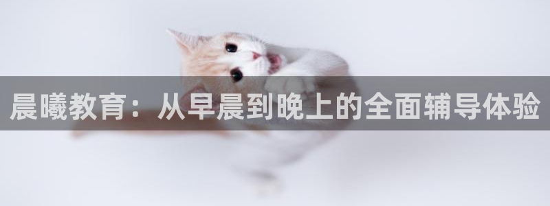 恒行娱乐登录5ll533主管一流：晨曦教育：从早晨到晚上的全面辅导体验