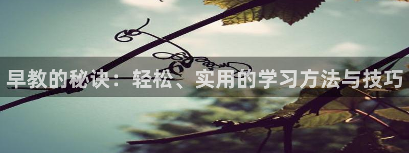 恒行2下74OO5：早教的秘诀：轻松、实用的学习方法与技巧