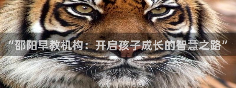 恒行代理总代主导 6ll5l：“邵阳早教机构：开启孩子成长的智慧之路”