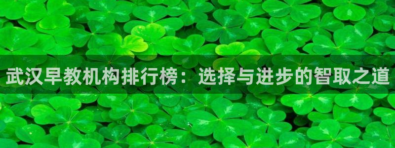 恒行主管6ll5l指定：武汉早教机构排行榜：选择与进步的智取之道