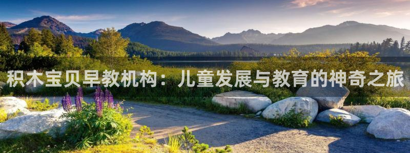 恒行娱乐蜗74ooo5指磁：积木宝贝早教机构：儿童发展与教育的神奇之旅