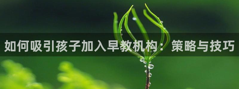 恒行2王74OOO5：如何吸引孩子加入早教机构：策略与技巧