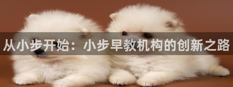 恒行2那74OO5：从小步开始：小步早教机构的创新之路
