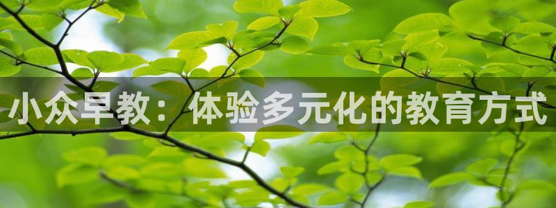 恒行2周74OOO5：小众早教：体验多元化的教育方式