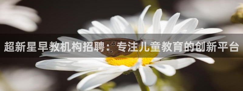 恒行代理总代主导 6ll5l：超新星早教机构招聘：专注儿童教育的创新平台