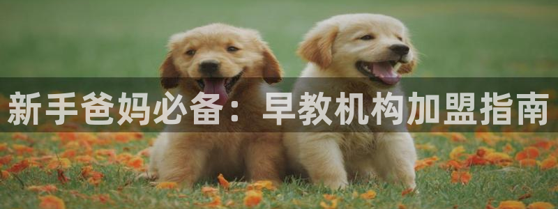 恒行娱乐周74OOO5：新手爸妈必备：早教机构加盟指南