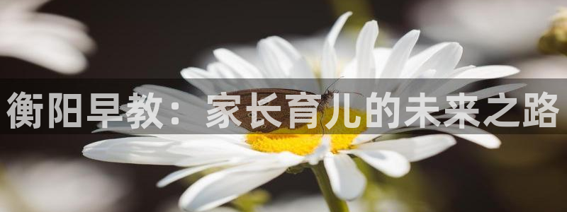 恒行开户娱乐6ll5l特惠：衡阳早教：家长育儿的未来之路