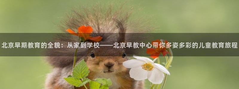 恒行2冯74OOO5：北京早期教育的全貌：从家到学校——北京早教中心带你多姿多彩