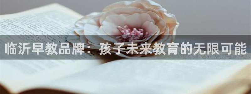 恒行5娱乐：临沂早教品牌：孩子未来教育的无限可能