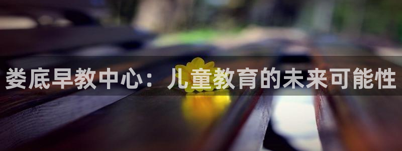 恒行娱乐登录信用 74ooo5：娄底早教中心：儿童教育的未来可能性