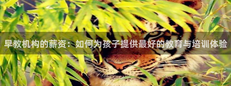 恒行娱乐登录信用 74ooo5：早教机构的薪资：如何为孩子提供最好的教育与培训体