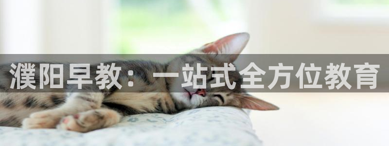 恒行娱乐招收点赞5ll533主管：濮阳早教：一站式全方位教育