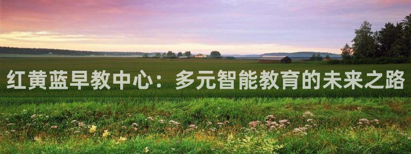恒行娱乐蒋74OOO5：红黄蓝早教中心：多元智能教育的未来之路
