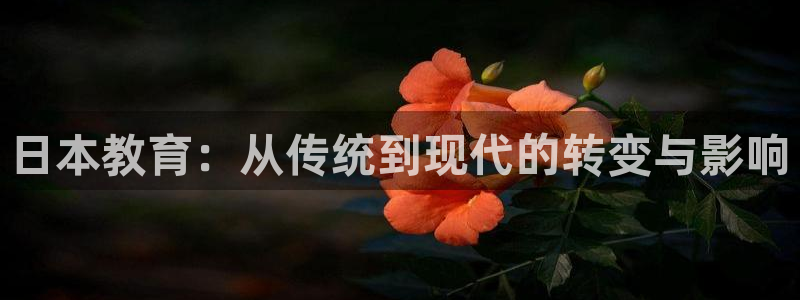 恒行2那74OOO5：日本教育：从传统到现代的转变与影响