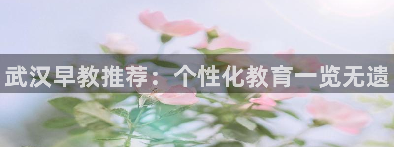 恒行娱乐蜗74ooo5指磁：武汉早教推荐：个性化教育一览无遗