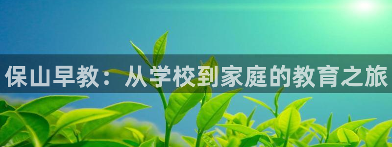 恒行2许74OOO5:保山早教:从学校到家庭的教育之旅