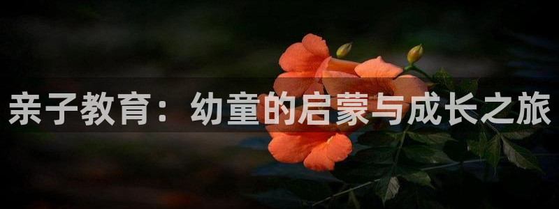 恒行娱乐周74OOO5：亲子教育：幼童的启蒙与成长之旅