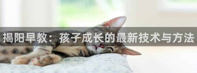 恒行5:揭阳早教:孩子成长的最新技术与方法