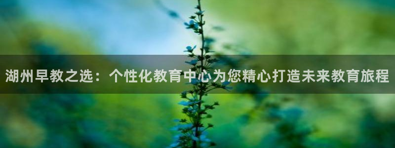 恒行2韩74OOO5：湖州早教之选：个性化教育中心为您精心打造未来教育旅程