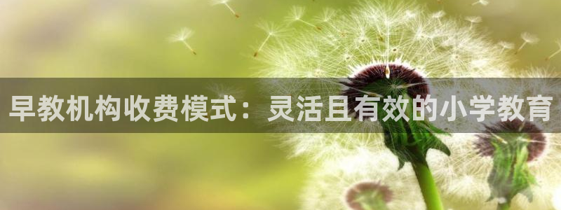 恒行代理总代主导 6ll5l：早教机构收费模式：灵活且有效的小学教育