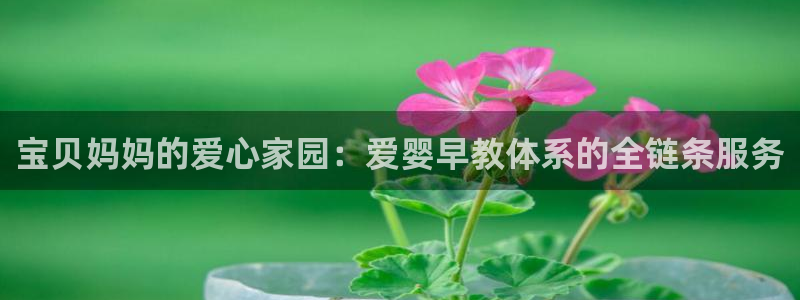 恒行2蒋74OOO5：宝贝妈妈的爱心家园：爱婴早教体系的全链条服务