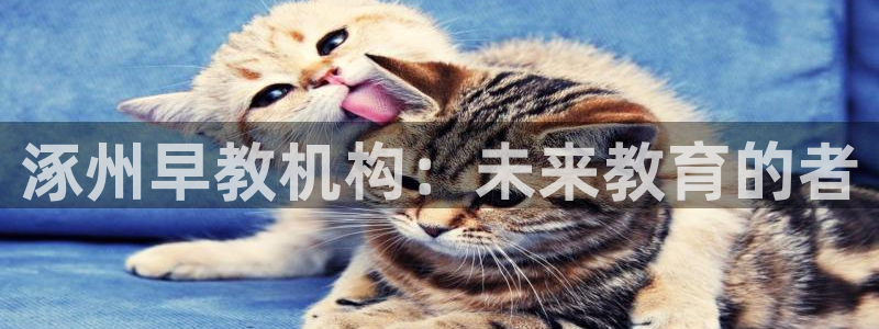 恒行娱乐见5ll533主管：涿州早教机构：未来教育的者