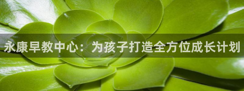 恒行2陈74OOO5：永康早教中心：为孩子打造全方位成长计划