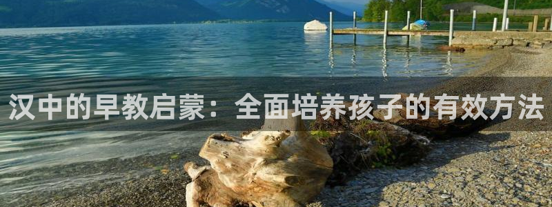 恒行彩票亏5千：汉中的早教启蒙：全面培养孩子的有效方法
