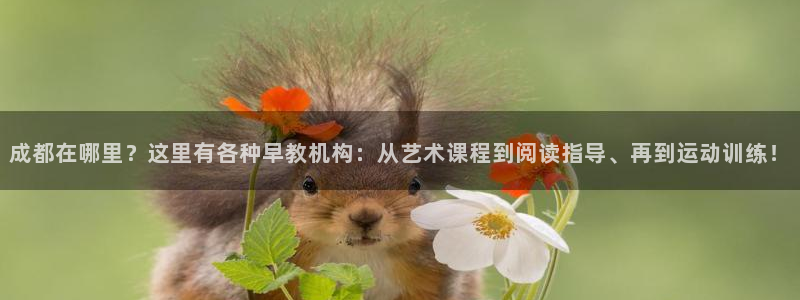 恒行2吕74OOO5：成都在哪里？这里有各种早教机构：从艺术课程到阅读指导、再到