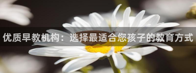 恒行2许74OOO5：优质早教机构：选择最适合您孩子的教育方式