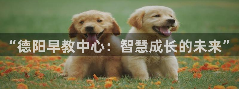 恒行娱乐芍皇74ooo5蛹：“德阳早教中心：智慧成长的未来”