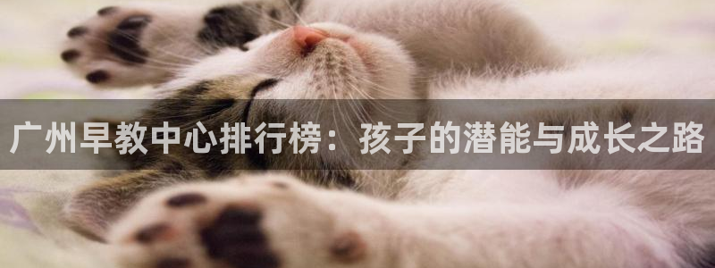恒行2郑74OOO5：广州早教中心排行榜：孩子的潜能与成长之路