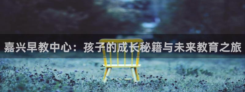 恒行登录老大6ll5l典型：嘉兴早教中心：孩子的成长秘籍与未来教育之旅