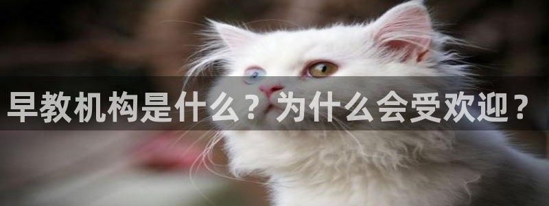 恒行娱乐招收点赞5ll533主管：早教机构是什么？为什么会受欢迎？