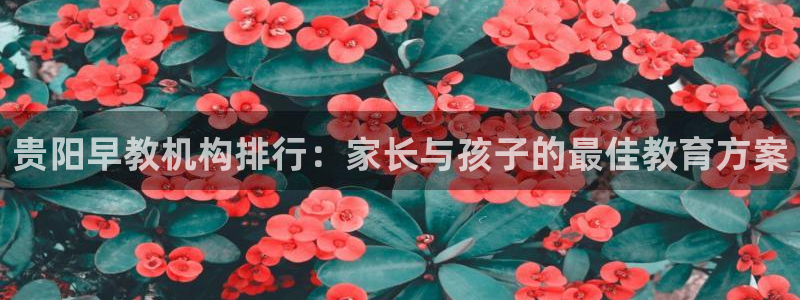 恒行娱乐景74ooo5诿抢：贵阳早教机构排行：家长与孩子的最佳教育方案