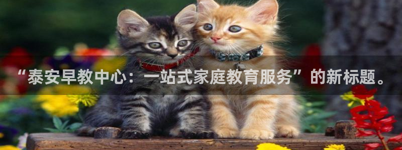 恒行主管6ll5l指定：“泰安早教中心：一站式家庭教育服务”的新标题。